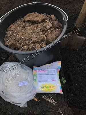 Компоненти ґрунтосуміші для посадки гортензії