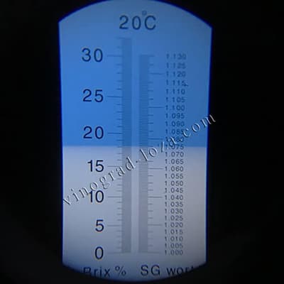 Цукристість соку винограду Гурман райдужний