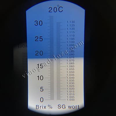 Цукристість соку винограду Ізюминка