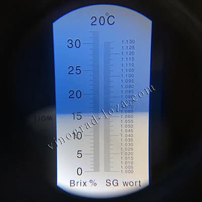 Цукристість соку винограду Кодрянка