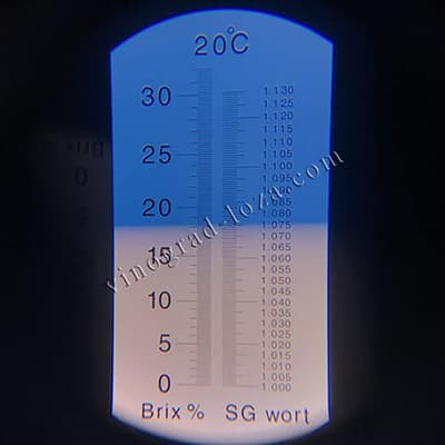 Цукристість соку винограду Конфетка фото