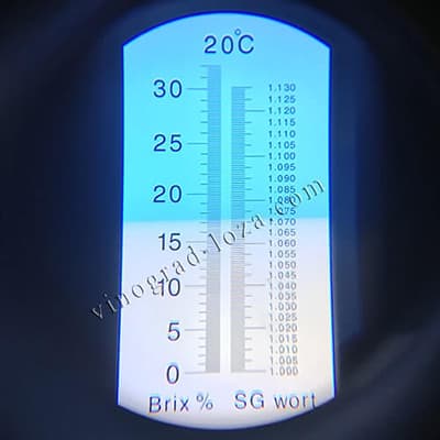 Цукристість соку винограду Ксенія (Анжеліка)