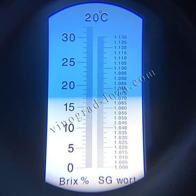Цукристість соку винограду Легенда Аксая