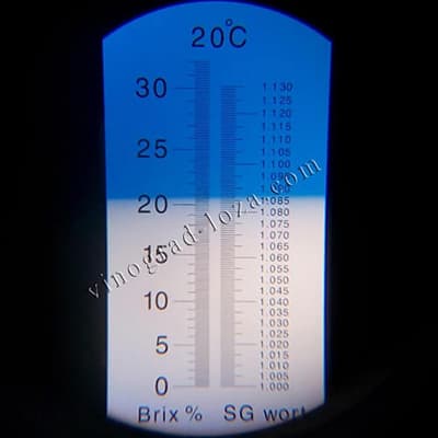 Цукристість соку винограду Лора (Флора)