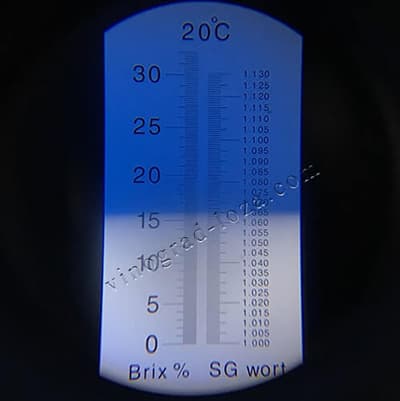 Цукристість соку винограду Пам'яті Небесної Сотні (Небесна Сотня)