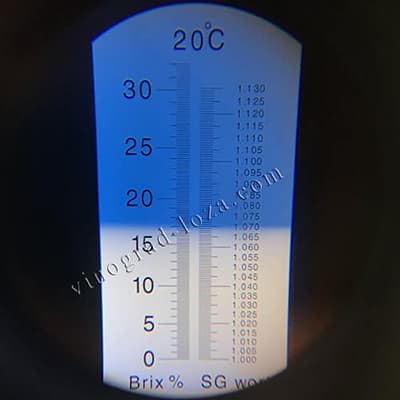 Цукристість соку винограду Сенсація