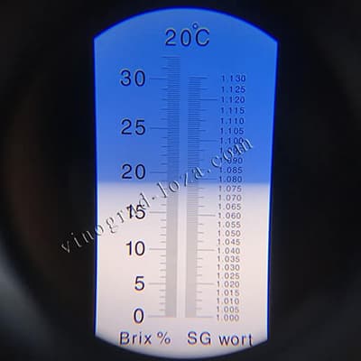 Цукристість соку винограду Велика