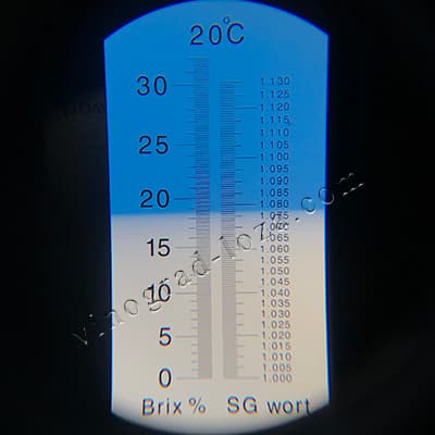 Цукристість соку винограду Біла Церква фото