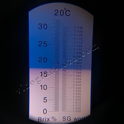 Цукристість соку винограду Карбонадо (Чорний діамант)