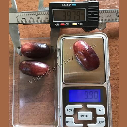 Розмір і вага ягід винограду Ізюминка фото