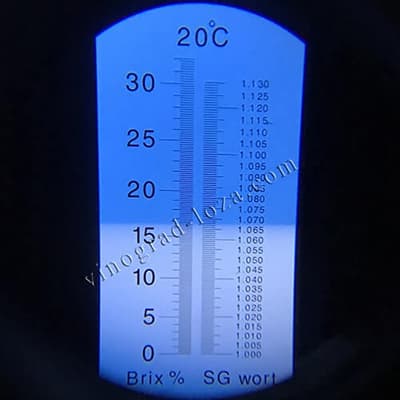 Цукристість соку винограду Ух-ти (Шамаханська цариця)