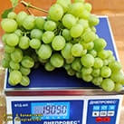 Купити саджанці винограду Альбіна з доставкою