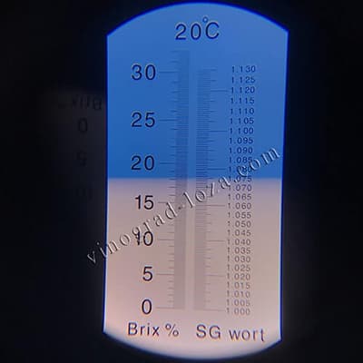 Цукристість соку винограду Клубничний фото