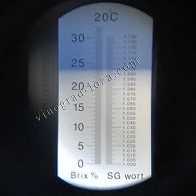 Цукристість соку винограду Мускат Дубовський