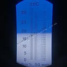 Виноград для виготовлення родзинок в домашніх умовах Джой