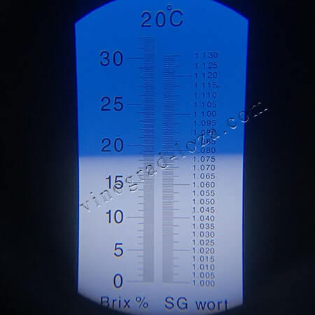 Виноград кишмиша Джой цукристисть соку фото