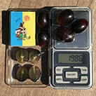 Невкривний виноград без кісточки Джой