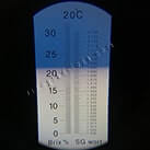 Виноград для виготовлення родзинок в домашніх умовах Фейз