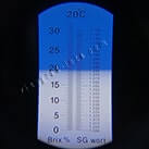 Виноград для виготовлення родзинок в домашніх умовах Хоуп