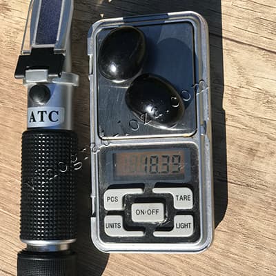 Вага та розмір ягід винограду Карбонадо (Чорний діамант)