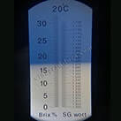 Виноград для виготовлення родзинок в домашніх умовах Венус