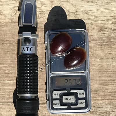 Розмір і вага ягід винограду Красноє Пламя