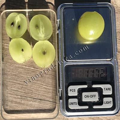 Вага ягоди винограду Вальок