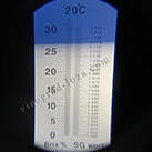 Виноград для виготовлення червоного вина в домашніх умовах Леон Мійо