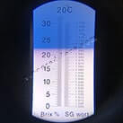 Виноград для виготовлення червоного вина в домашніх умовах Магія