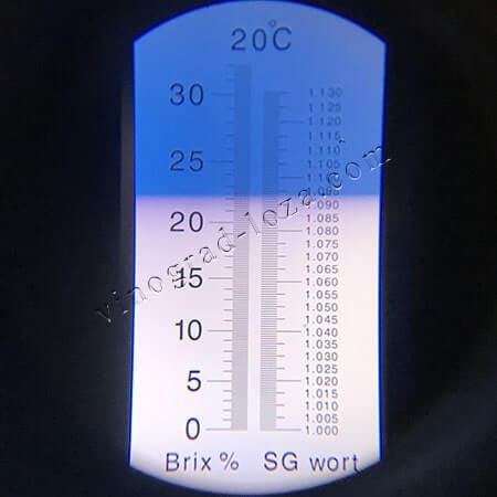 Виноград для вина Магія цукристисть соку фото