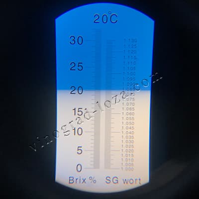 Цукристість соку винограду Мускат медовий