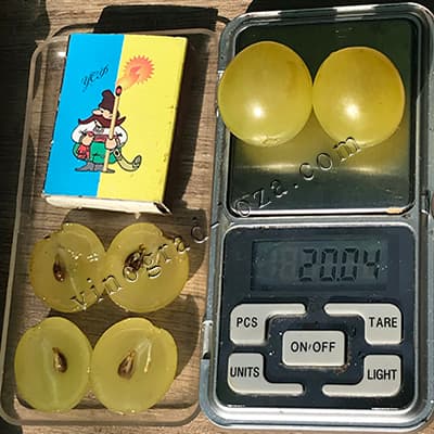 Вага та розмір ягід винограду Мускат медовий