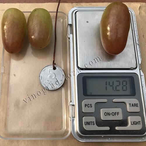 Розмір і вага ягід винограду Сенсація фото