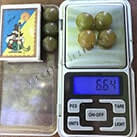 Невибагливий винний виноград Трамінетт