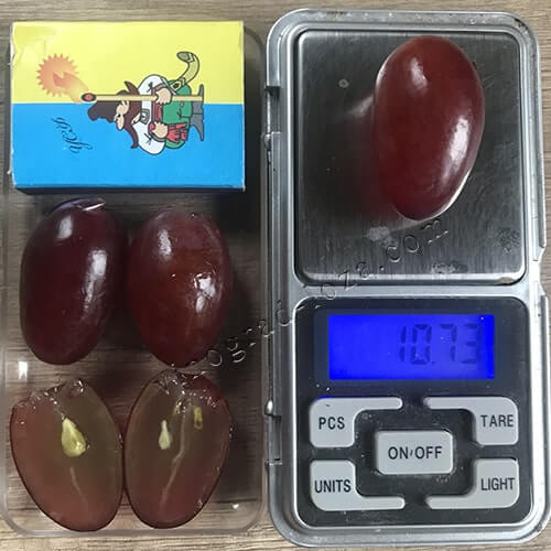 Виноград Клеопатра размер и вес ягоды фото